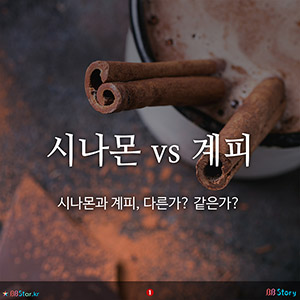 비비스토리, BBStory, 시나몬 vs 계피, 시나몬과 계피, 다른가? 같은가?