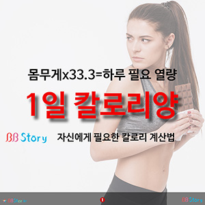 몸무게x33.3=하루 필요 열량, 칼로리 계산법