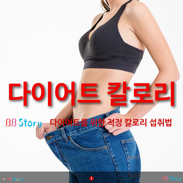 비비스토리, BBStory, 다이어트 칼로리 계산법, 다이어트를 위한 적정 칼로리 섭취법