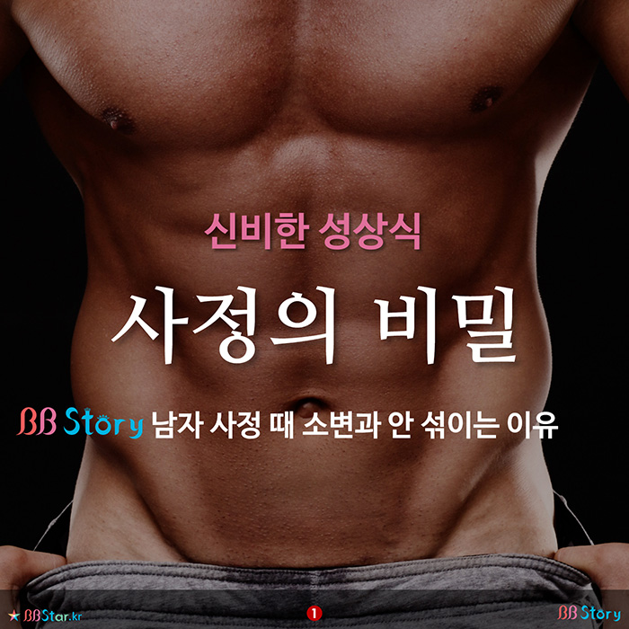 비비스토리, BBStory, 신비한 성상식, 남자 사정의 비밀