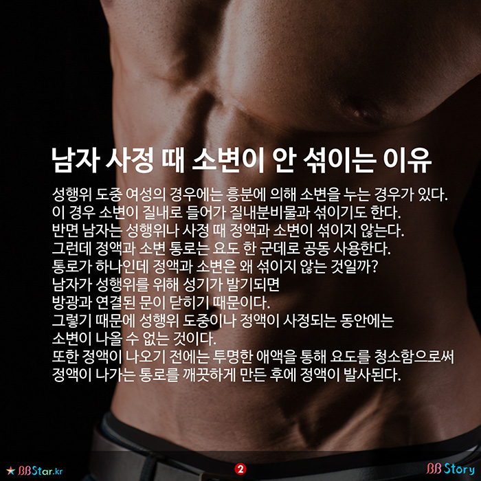 비비스토리, BBStory, 남자 사정 때 소변과 안 섞이는 이유