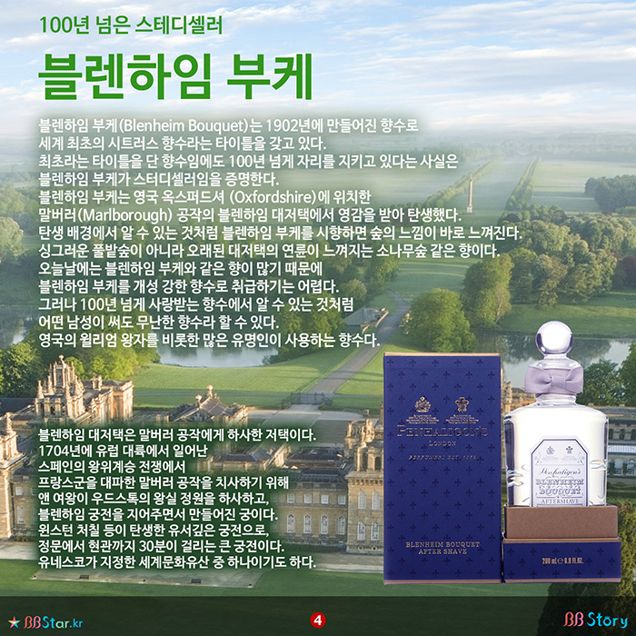 비비스토리, BBStory, 100년 넘은 스테디셀러, 블렌하임 부케