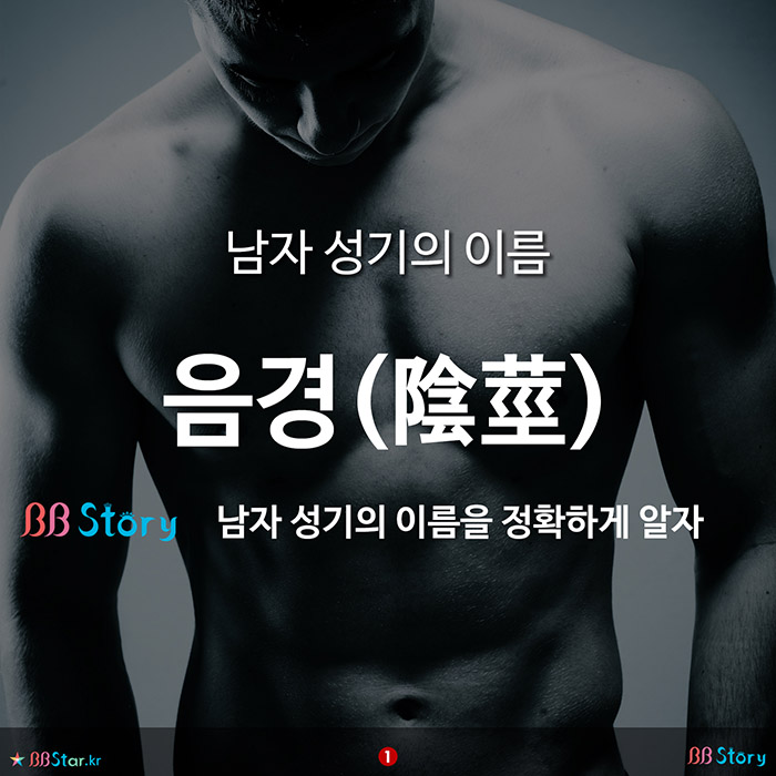 비비스토리, BBStory, 남자 성기의 이름 음경
