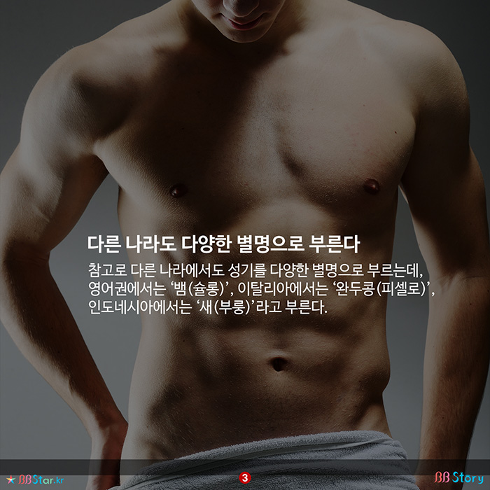 비비스토리, BBStory, 다른 나라의 남자 성기 별명