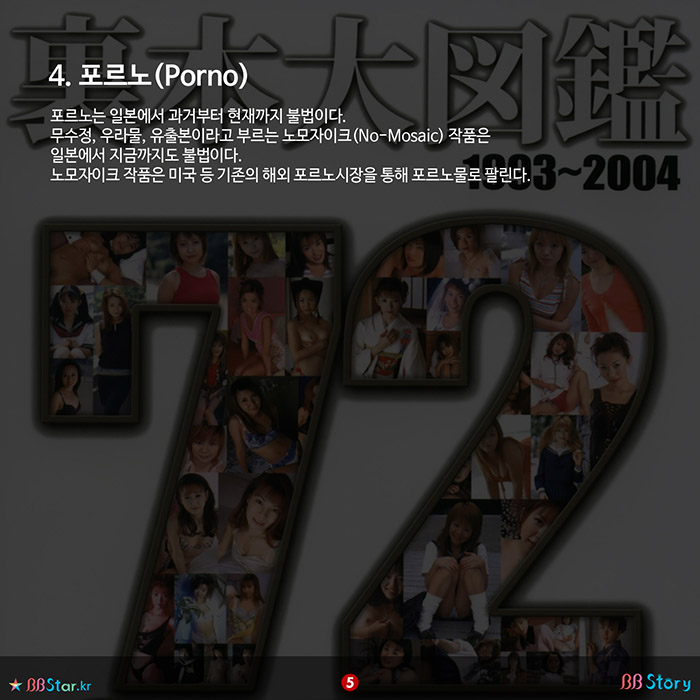 비비스토리, BBStory, 일본 성인영상물 역사와 종류, 4. 포르노(Porno)