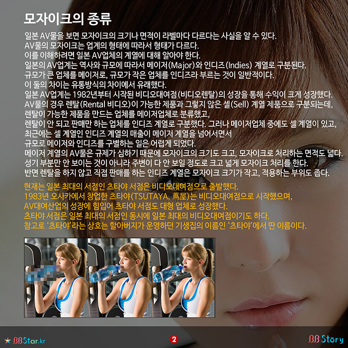 비비스토리, BBStory, AV 모자이크의 종류, 강모에서 약모 박모까지