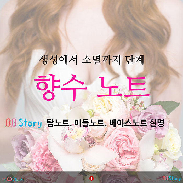 비비스토리, BBStory, 생성에서 소멸까지 단계, 향수 노트