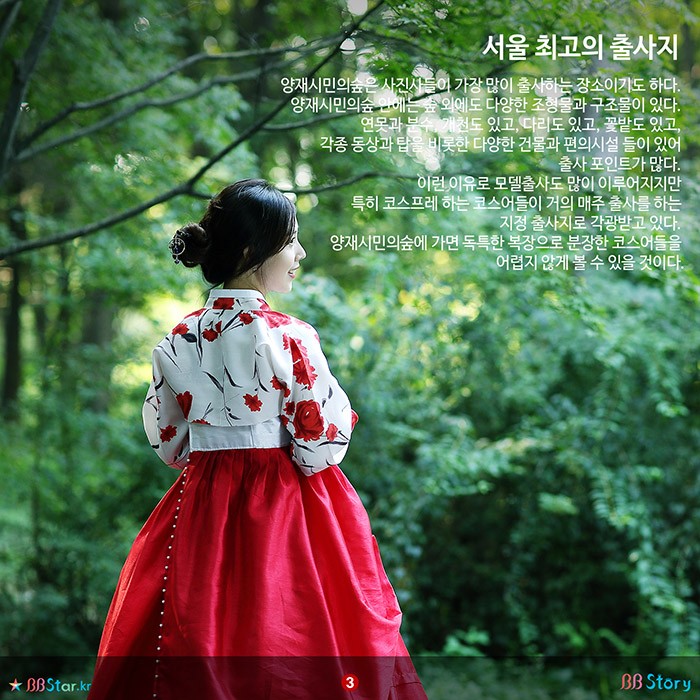 비비스토리, BBStory, 서울 최고의 출사지, 양재시민의숲