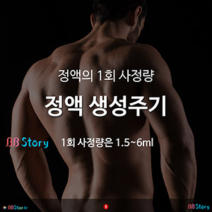 정액의 1회 사정량과 정액 생성주기