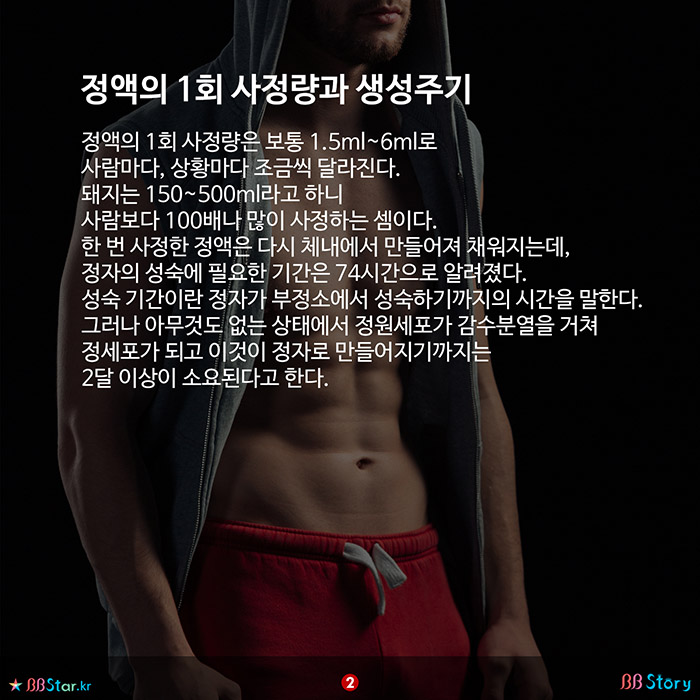 비비스토리, BBStory, 정액의 1회 사정량과 정액 생성주기