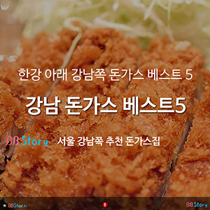 강남 돈가스 베스트 5, 추천 서울 강남 돈가츠 베스트