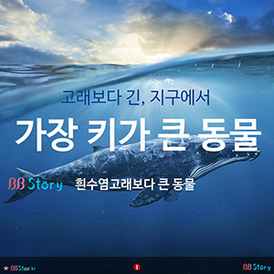 고래보다 긴, 지구에서 가장 키가 큰 동물