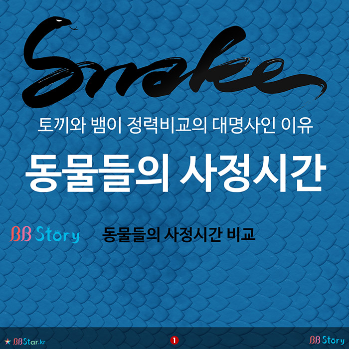 비비스토리, BBStory, 토끼와 뱀이 정력의 대명사인 이유, 동물들의 사정시간