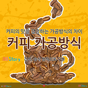 커피의 맛을 결정하는 가공방식의 차이, 커피 가공방식