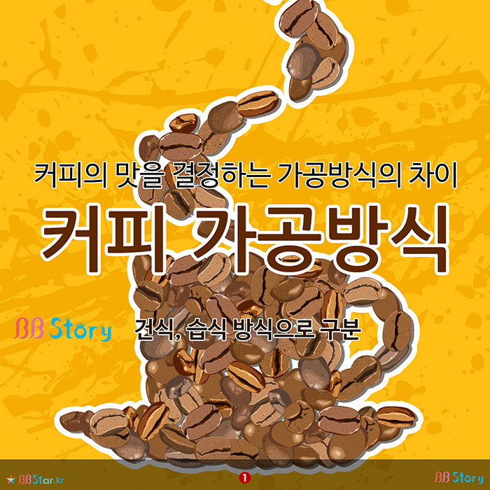 비비스토리, BBStory, 커피의 맛을 결정하는 가공방식의 차이, 커피 가공방식