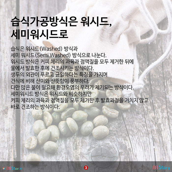 비비스토리, BBStory, 커피 가공방식 습식가공방식은 워시드, 세미워시드로