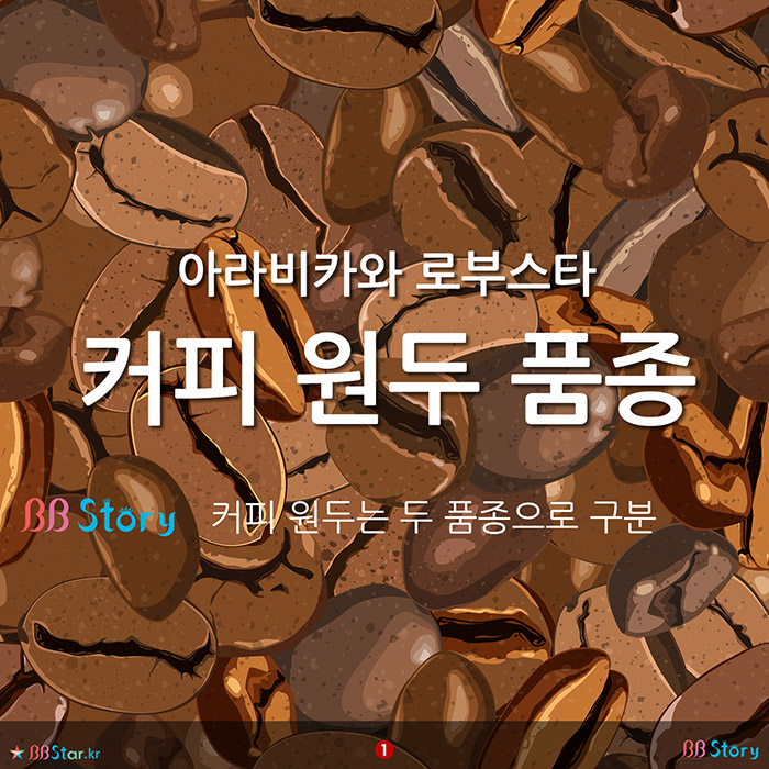 비비스토리, BBStory, 아라비카와 로부스타, 커피 원두 품종