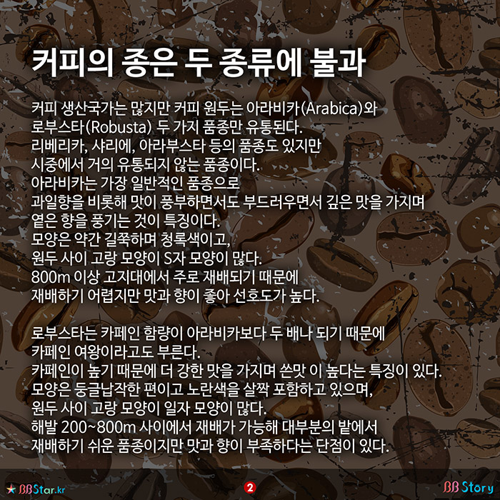 비비스토리, BBStory, 아라비카와 로부스타, 커피 원두 품종은 두 종류에 불과