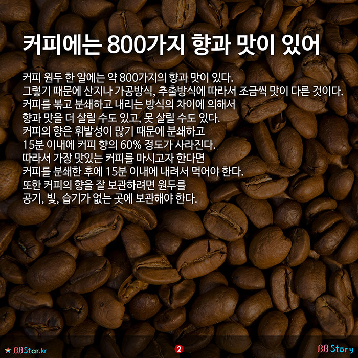 비비스토리, BBStory, 800가지 커피원두의 향과 15분의 법칙, 커피 원두 향 커피에는 800가지 향과 맛이 있어