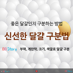 좋은 달걀인지 구분하는 방법, 신선한 달걀 구분법