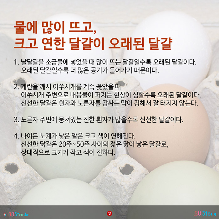 비비스토리, BBStory, 좋은 달걀인지 구분하는 방법, 신선한 달걀 구분법 물에 많이 뜨고, 크고 연한 달걀이 오래된 달걀