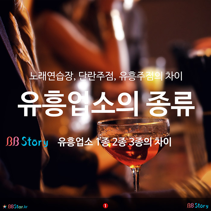비비스토리, BBStory, 노래연습장, 단란주점, 유흥주점의 차이, 유흥업소의 종류