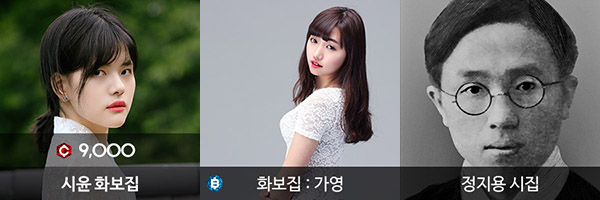 아이템 종류별 아이콘