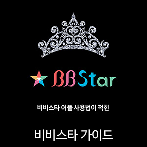 비비스타 아이템, 비비스타 가이드