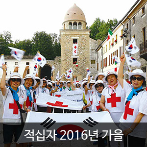 비비스타 아이템, 적십자소식지