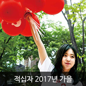 비비스타 아이템, 적십자소식지