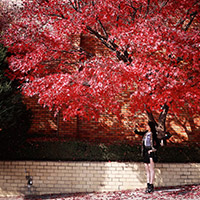 비비스타 화보 모델, 미후, mihoo, 오피스룩, 야외촬영, 섹시컨셉, 안양예술공원