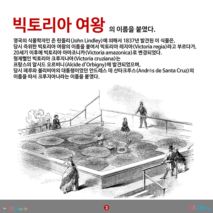 비비스토리, BBStory, 빅토리아 여왕의 이름을 붙인 식물