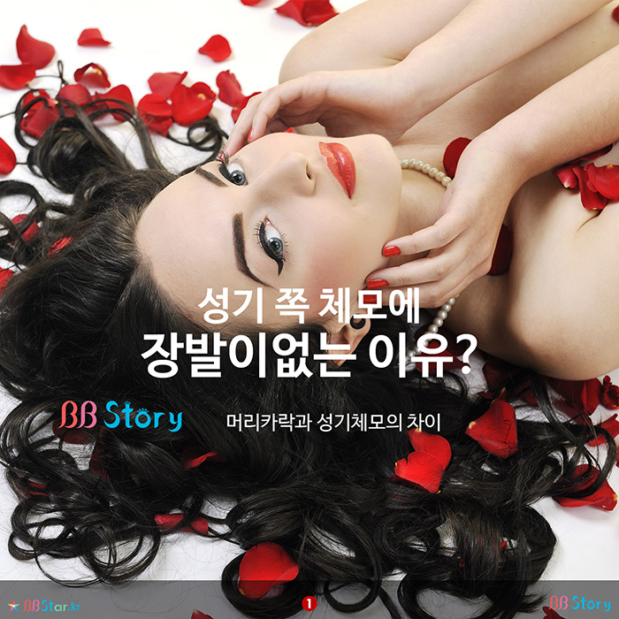 비비스토리, BBStory, 성기 쪽 체모에 장발이없는 이유