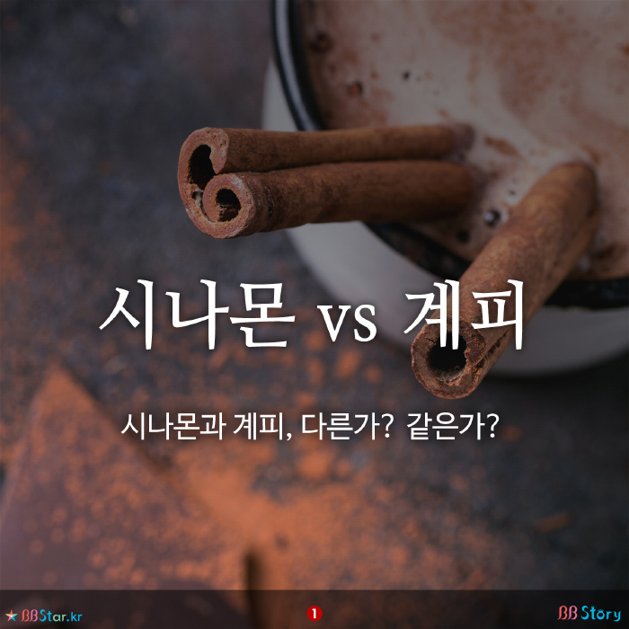 비비스토리, BBStory, 시나몬 vs 계피, 시나몬과 계피, 다른가? 같은가?