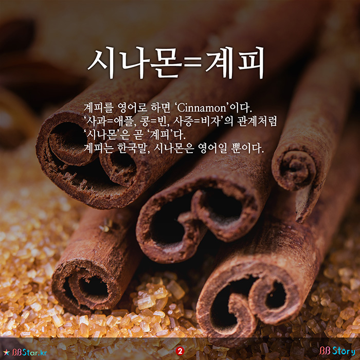 비비스토리, BBStory, 시나몬=계피, 같은 말