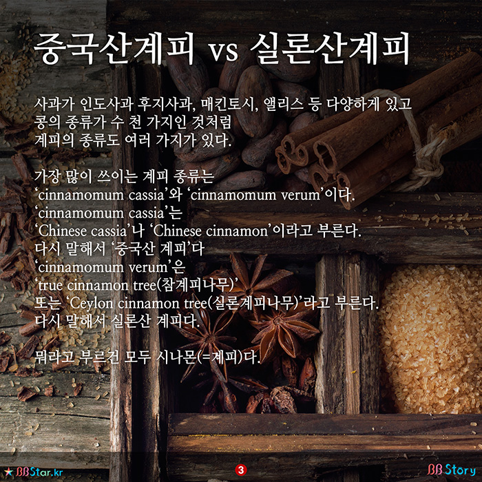 비비스토리, BBStory, 중국산계피 vs 실론산계피