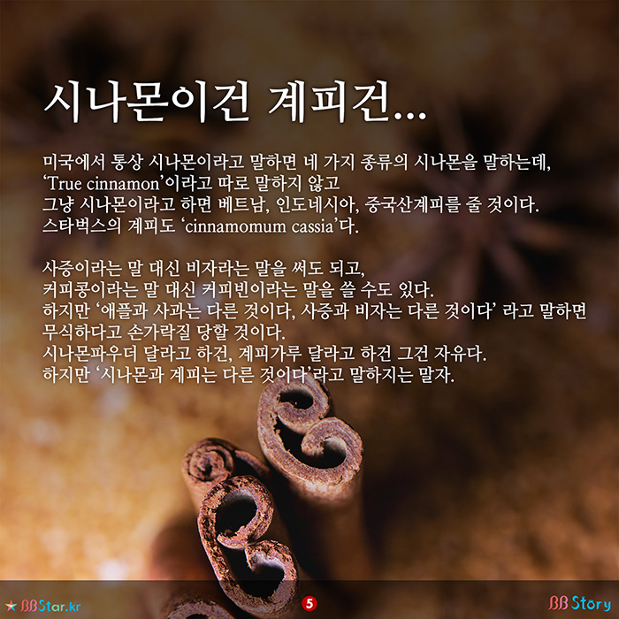 비비스토리, BBStory, 시나몬이나 계피가 다른 것이라고 말하지는 말자