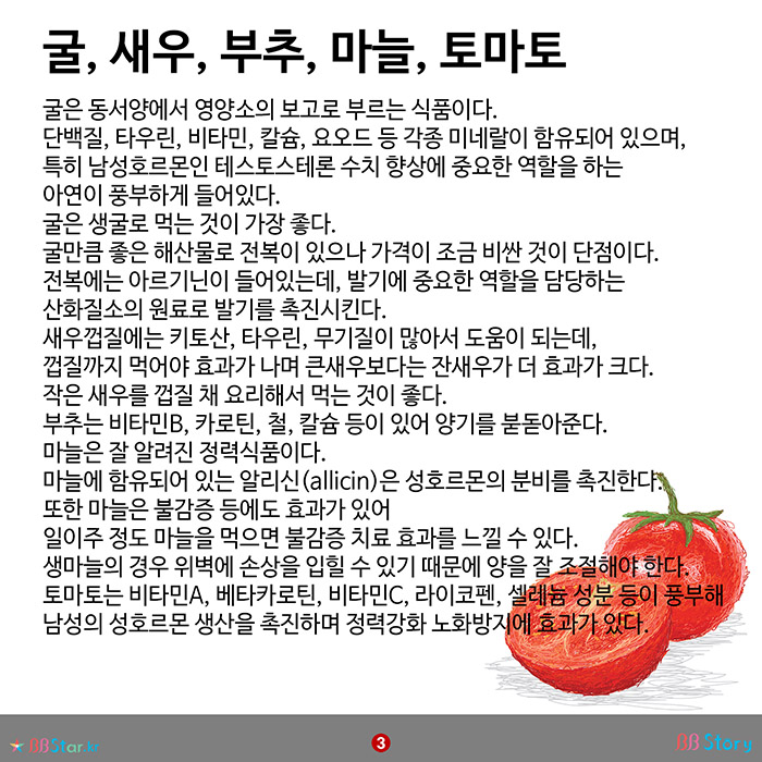 비비스토리, BBStory, 남자 정력에 좋은 음식 추천, 정력음식 Best 5 굴, 새우, 부추, 마늘, 토마토
